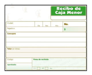 Talonario de Recibos Caja Menor x 100 Papier